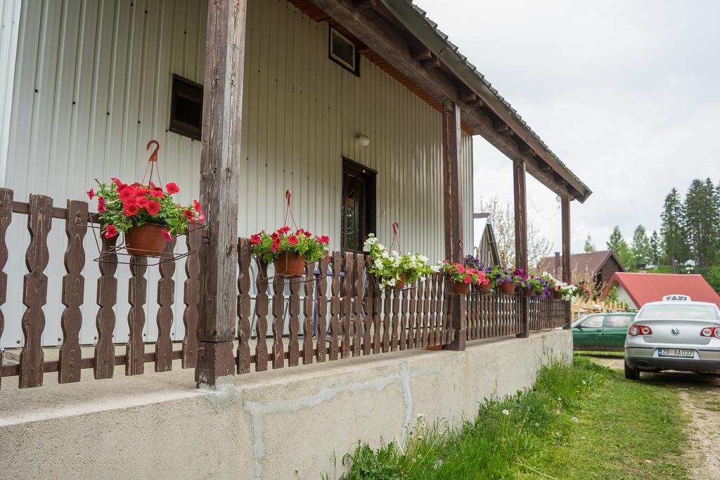 Apartment M Žabljak Zewnętrze zdjęcie
